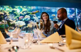Elegantes Paar genießt Abendessen in einem Luxusrestaurant mit Aquariumblick im Allwetterzoo